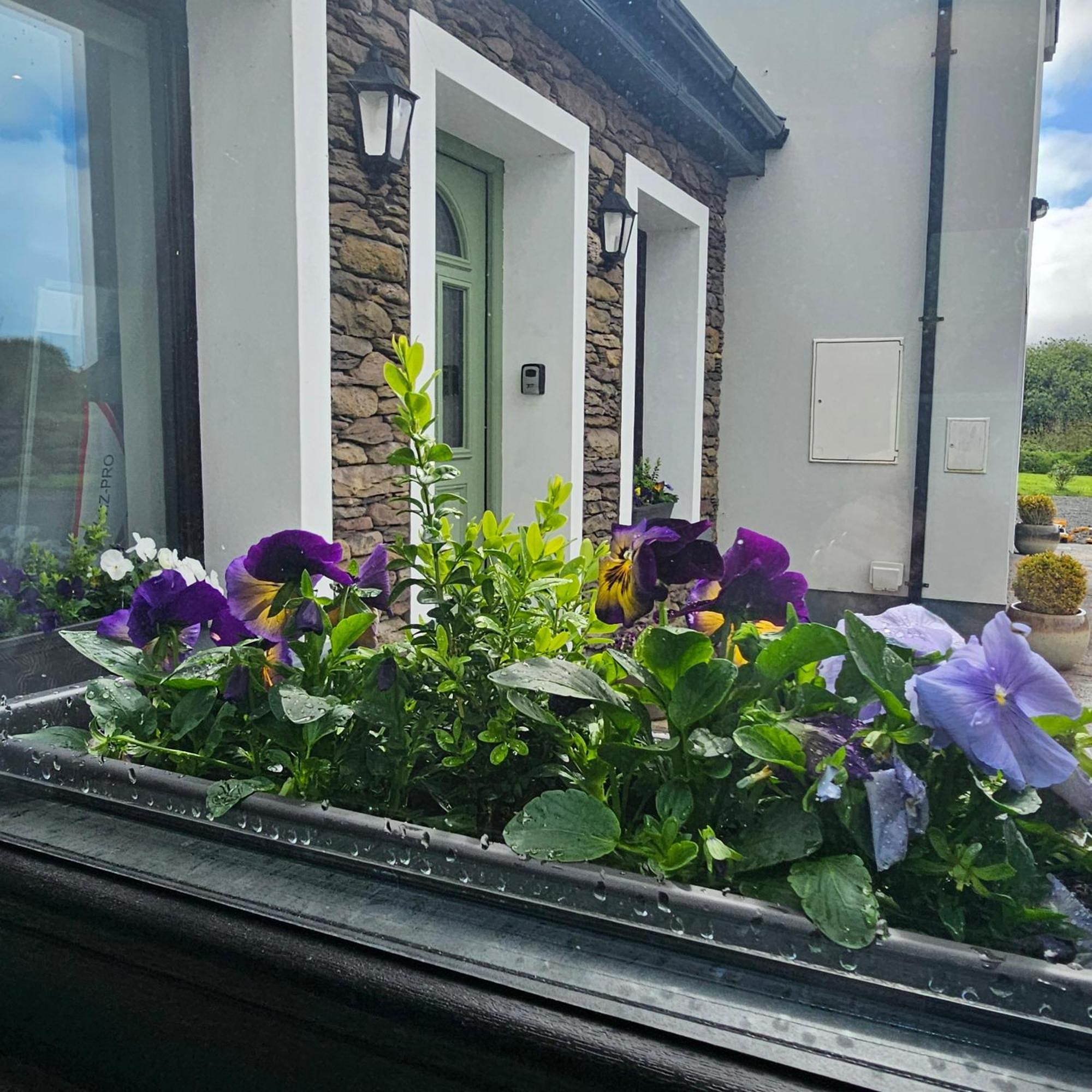The Ce Hideout Apartman Tralee Kültér fotó